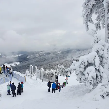 Czarna Gora Solden 37 *