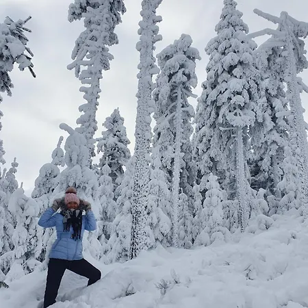 Czarna Gora Solden 37 *