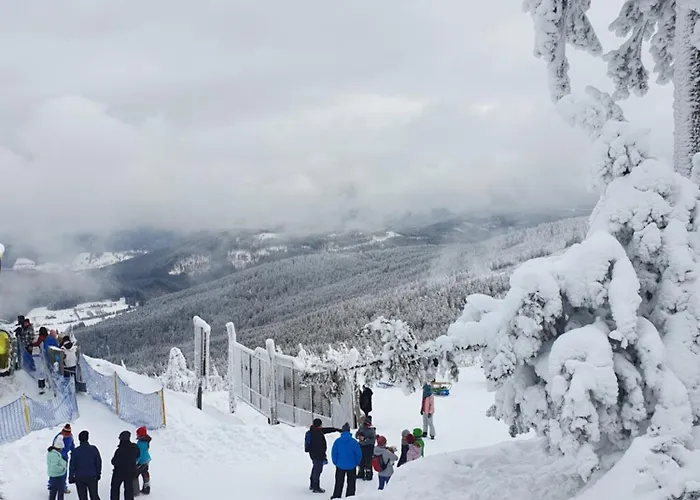 Czarna Góra Solden 37 *